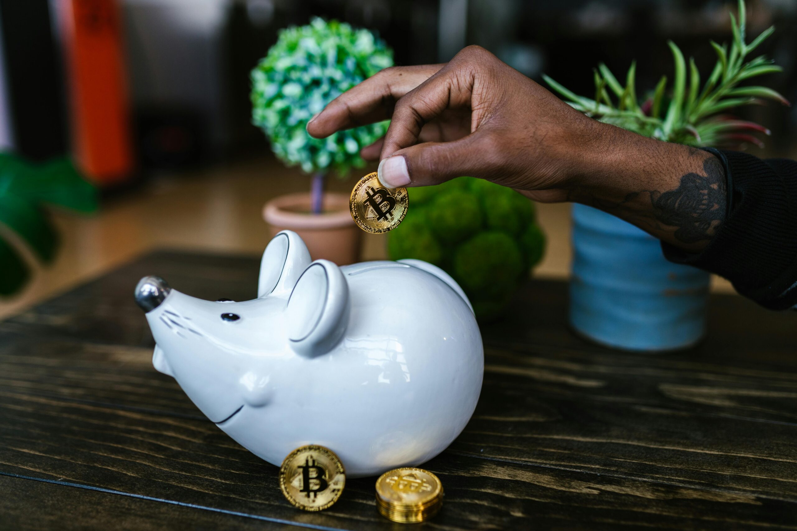 Os Melhores Livros de Investimentos
